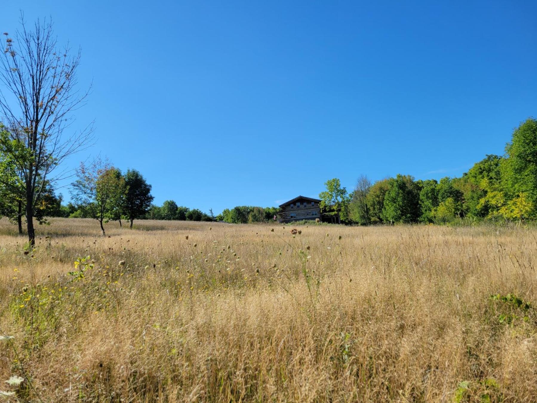 Firefly Creek Lodge Livonia Exterior foto